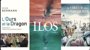 Lire la suite à propos de l’article Radio France: L’ours et le dragon